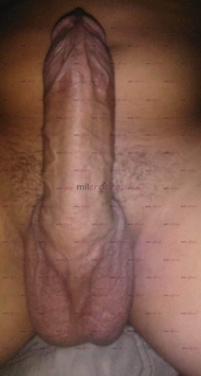 FOTOS DE VAMOS VAMOS VAMOS A COGER RICO JOVEN CALIENTE