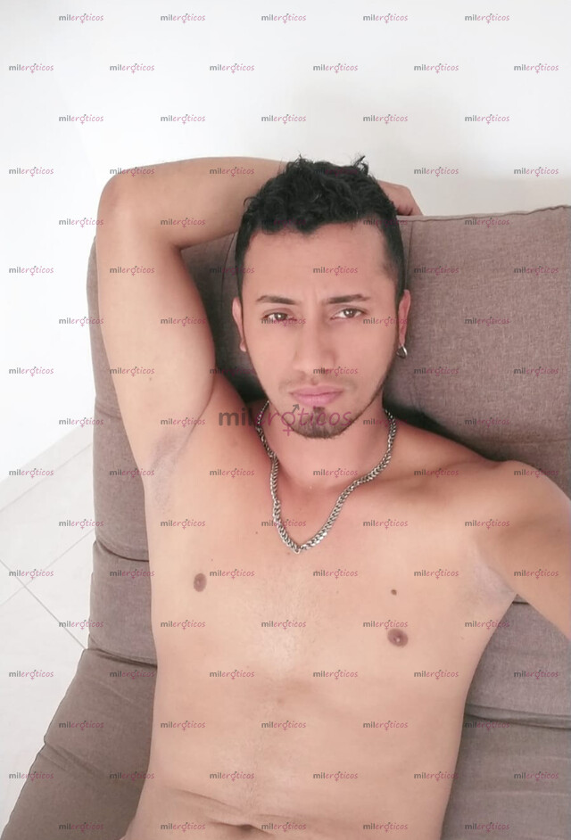 FOTOS DE COLOMBIANO DOTADO ACTIVO DOMINANTE LECHERO