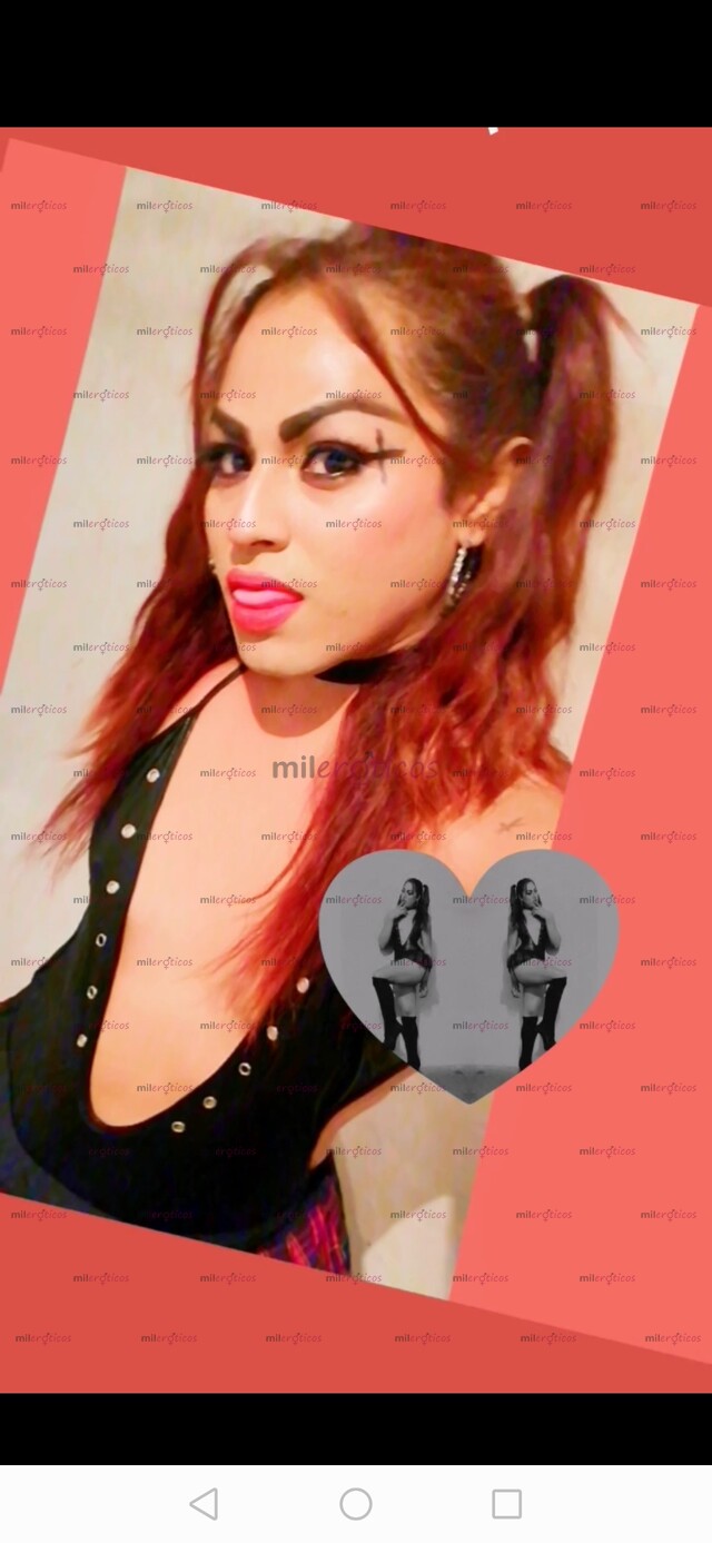 FOTOS DE PERRITA CALIENTE XXX SIMBOLL SUPER ARRECHITA ESTOY EN ALVARADO