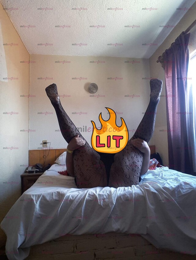 FOTOS DE CHICA TRANS FULL BBW MUY CACHONDA Y COMPLACIENTE