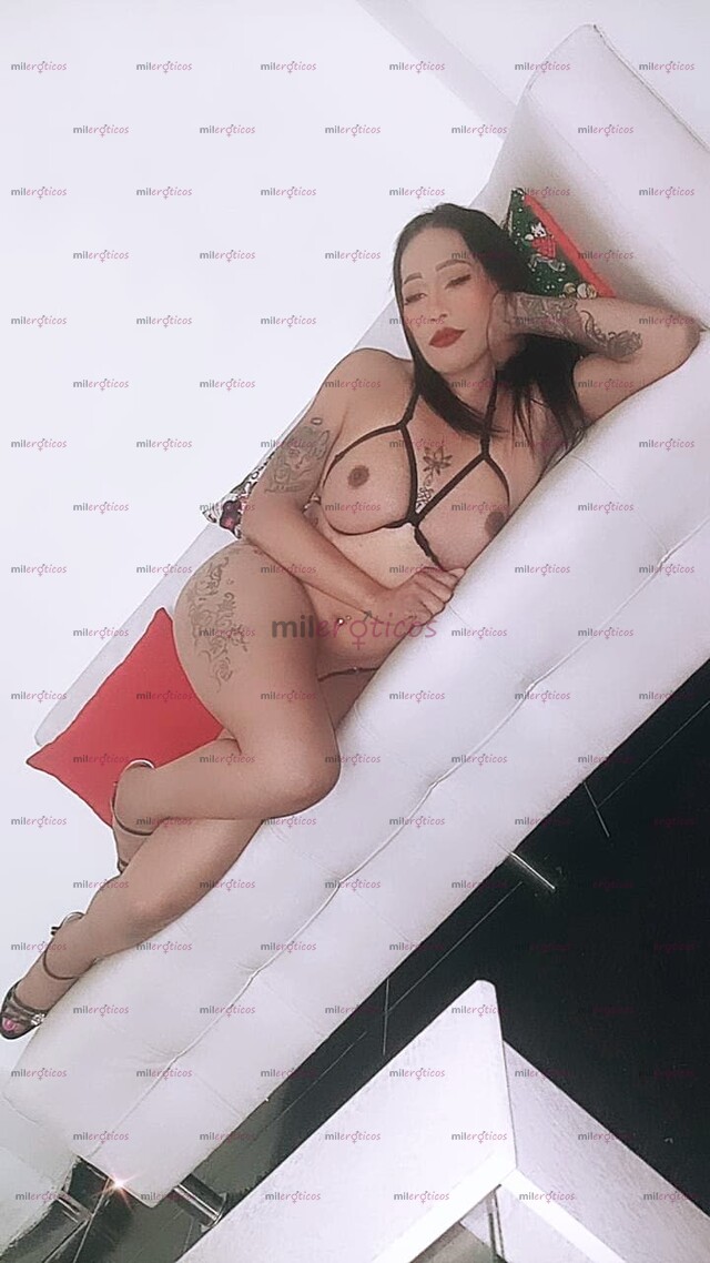 FOTOS DE ARY,CHICA,TRANS ARRECHA,SERVICO VIRTUAL...