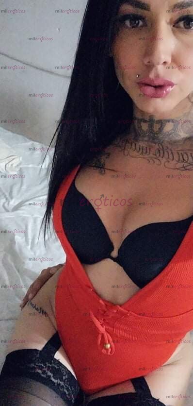FOTOS DE SIN DUDA ALGUNA SOY TU MEJOR OPCIÓN TRANS INTERACTIVA 8135964763 VENTA DE VIDEOS