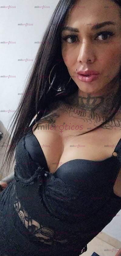FOTOS DE SIN DUDA ALGUNA SOY TU MEJOR OPCIÓN TRANS INTERACTIVA 8135964763 VENTA DE VIDEOS