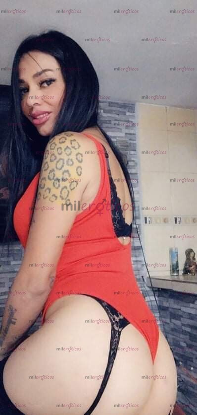 FOTOS DE SIN DUDA ALGUNA SOY TU MEJOR OPCIÓN TRANS INTERACTIVA 8135964763 VENTA DE VIDEOS