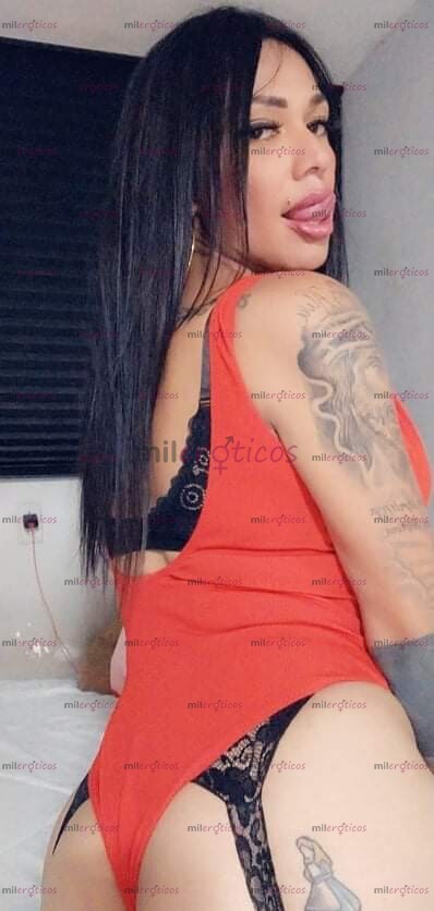 FOTOS DE SIN DUDA ALGUNA SOY TU MEJOR OPCIÓN TRANS INTERACTIVA 8135964763 VENTA DE VIDEOS