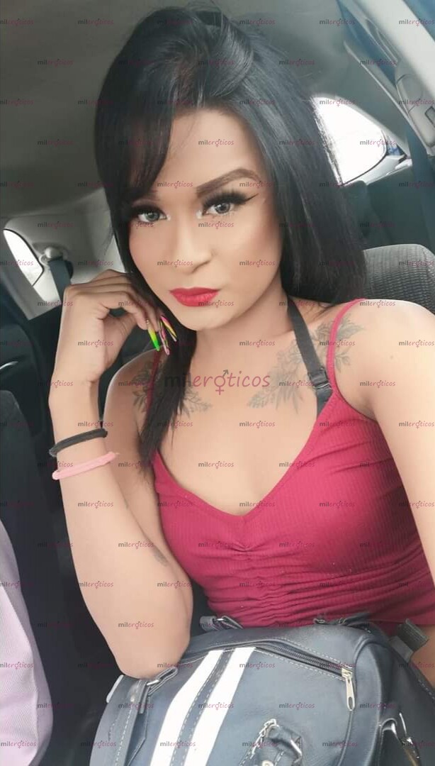 FOTOS DE SOY ZUVIRIA UNA CHICA TRANS DE PIEL CANELA SIN PROBLEMA DE ROLL..