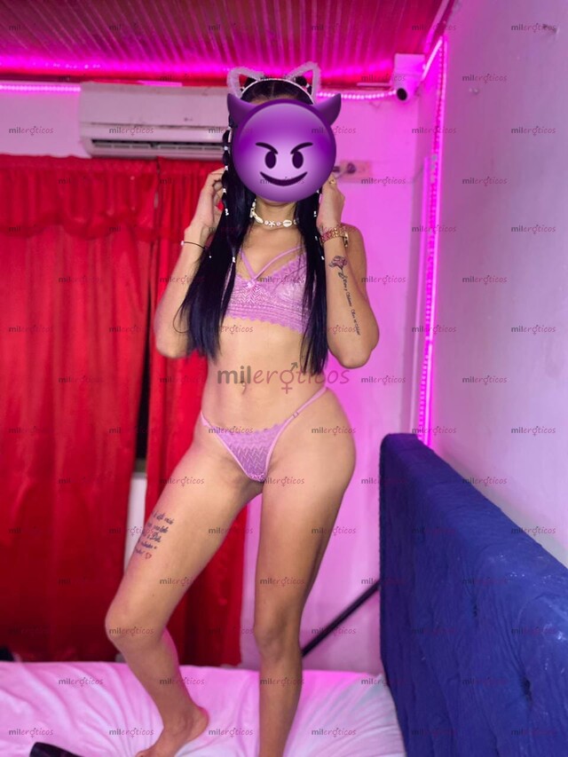 FOTOS DE HOLA BB NICOL 3 PLATOS CON APARTAMENTO PRIVADO