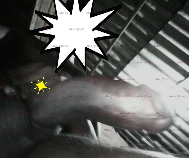 FOTOS DE DISCRETO Y CULTO APACIONADO Y COMPLACIENTE