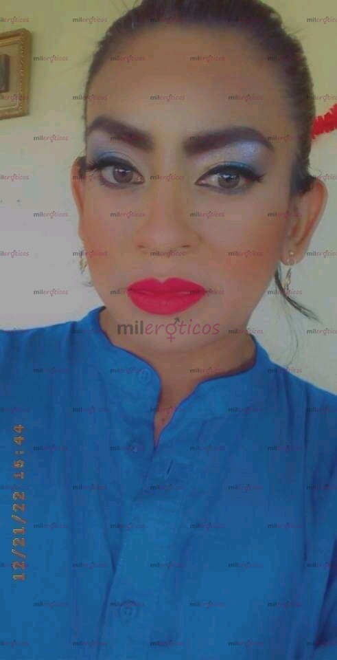 FOTOS DE TRAVESTI MASAJISTA EROTICA MAMADORA DE PENE