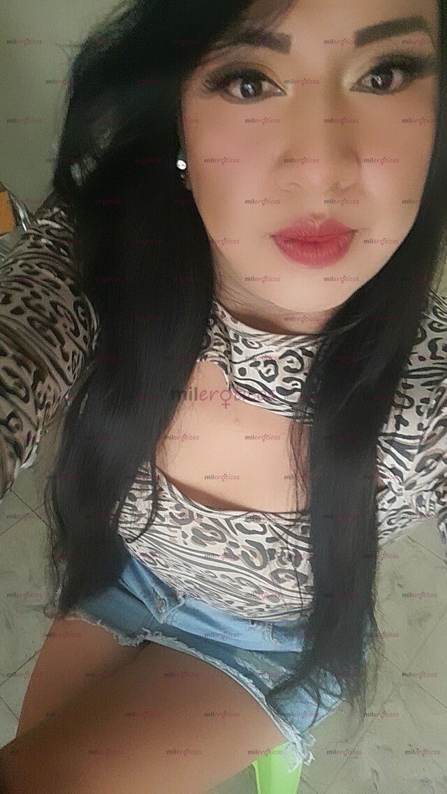 FOTOS DE SOY NYCOL, TRANSEXUAL ARDIENTE, Y MUY CONPLACIENTE