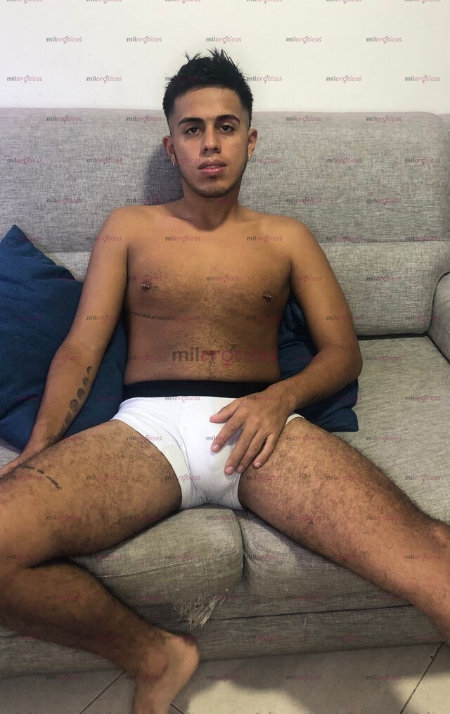 FOTOS DE POLLO VERSÁTIL DOTADO CON GANAS ESCRIBEME