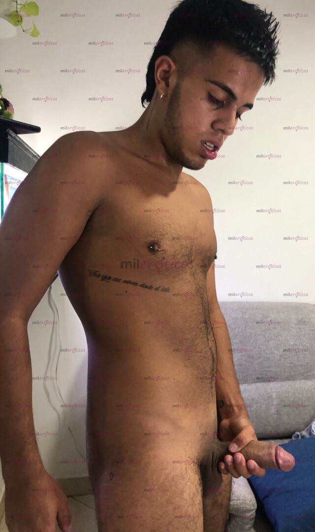 FOTOS DE POLLO VERSÁTIL DOTADO CON GANAS ESCRIBEME