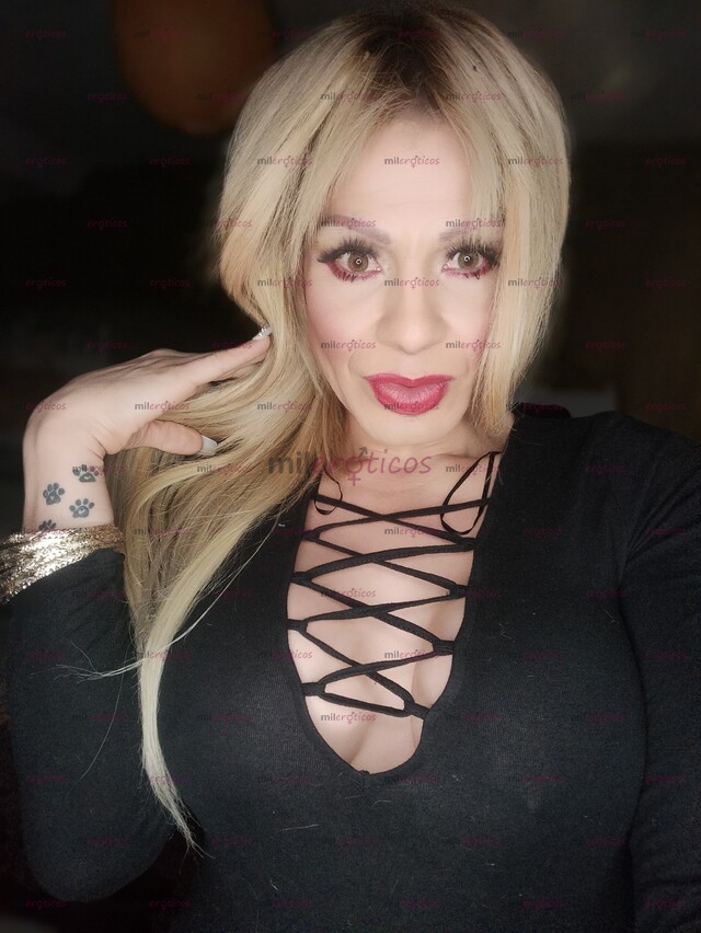 FOTOS DE NUEVAMENTE EN TU CIUDAD LA ÚNICA TRANS MAPS