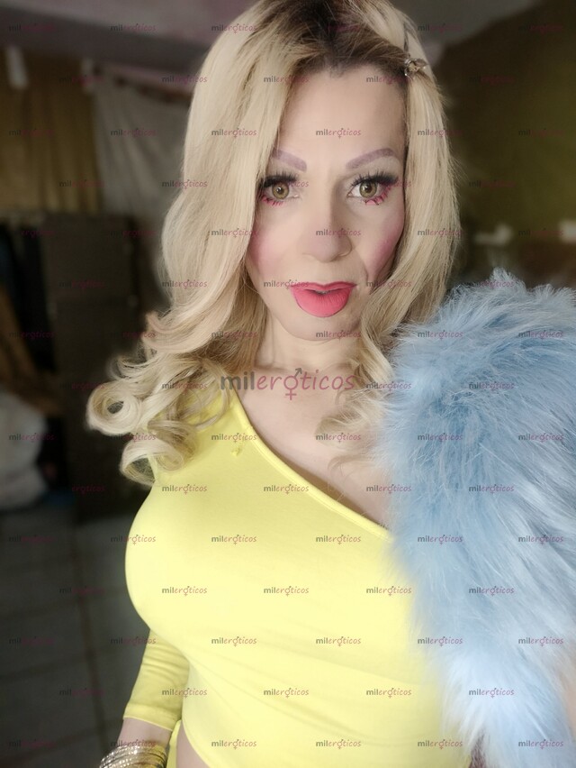 FOTOS DE NUEVAMENTE EN TU CIUDAD LA ÚNICA TRANS MAPS