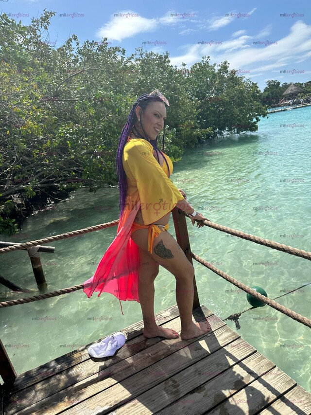 FOTOS DE PLACER Y SERVICIO DE CALIDAD CON LUGAR CENTRICO EN PLAYA DEL CARMEN