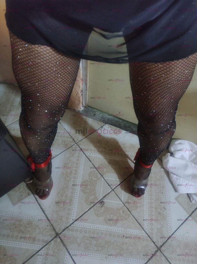 FOTOS DE CHICA TRAVESTI EN BUSCA DE ACTIVOS PARA SACARLES LA LECHE