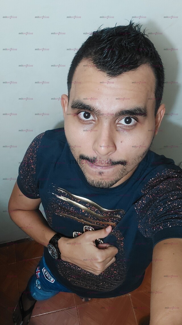 FOTOS DE SOLO PERRAS DESESPERADAS POR BEBER LECHE.QUE NO TEMAN AL DOLOR