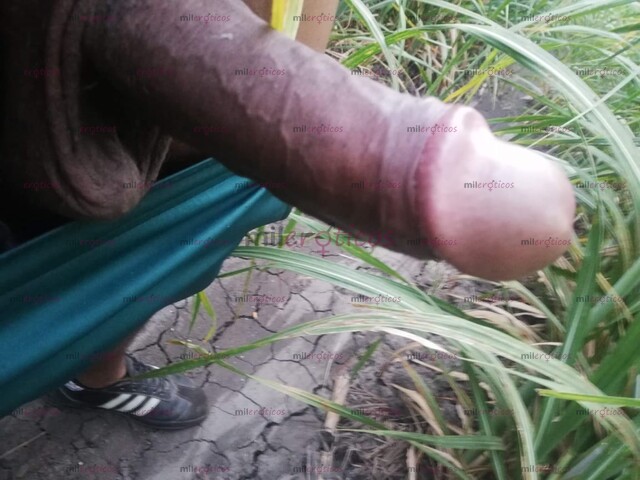 FOTOS DE NEGRO TE DARA COMO A UNA PERRA TE LA METERE SUAVE Y DURO SERA BIEN RICO