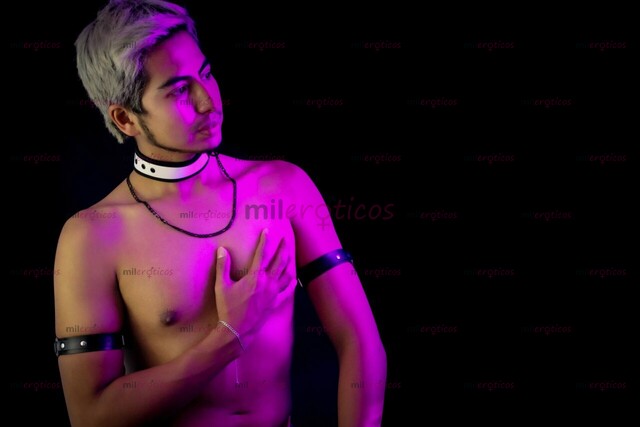 FOTOS DE CACHORRO PARA TU DIVERSIÓN, DISPONIBLE PARA TUS CAPRICHOS.