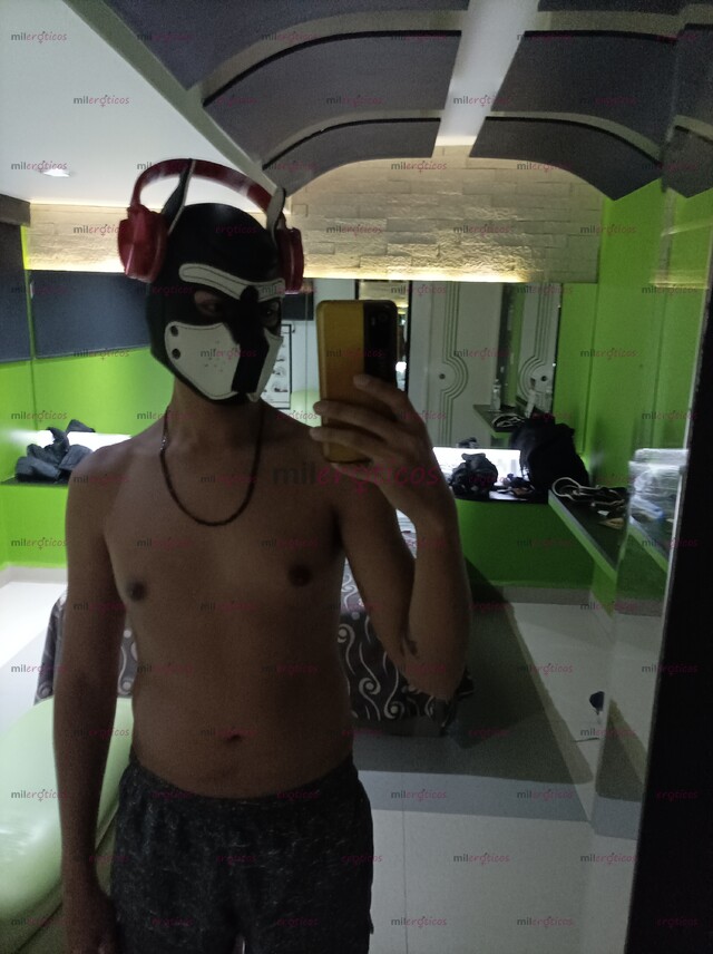 FOTOS DE CACHORRO PARA TU DIVERSIÓN, DISPONIBLE PARA TUS CAPRICHOS.