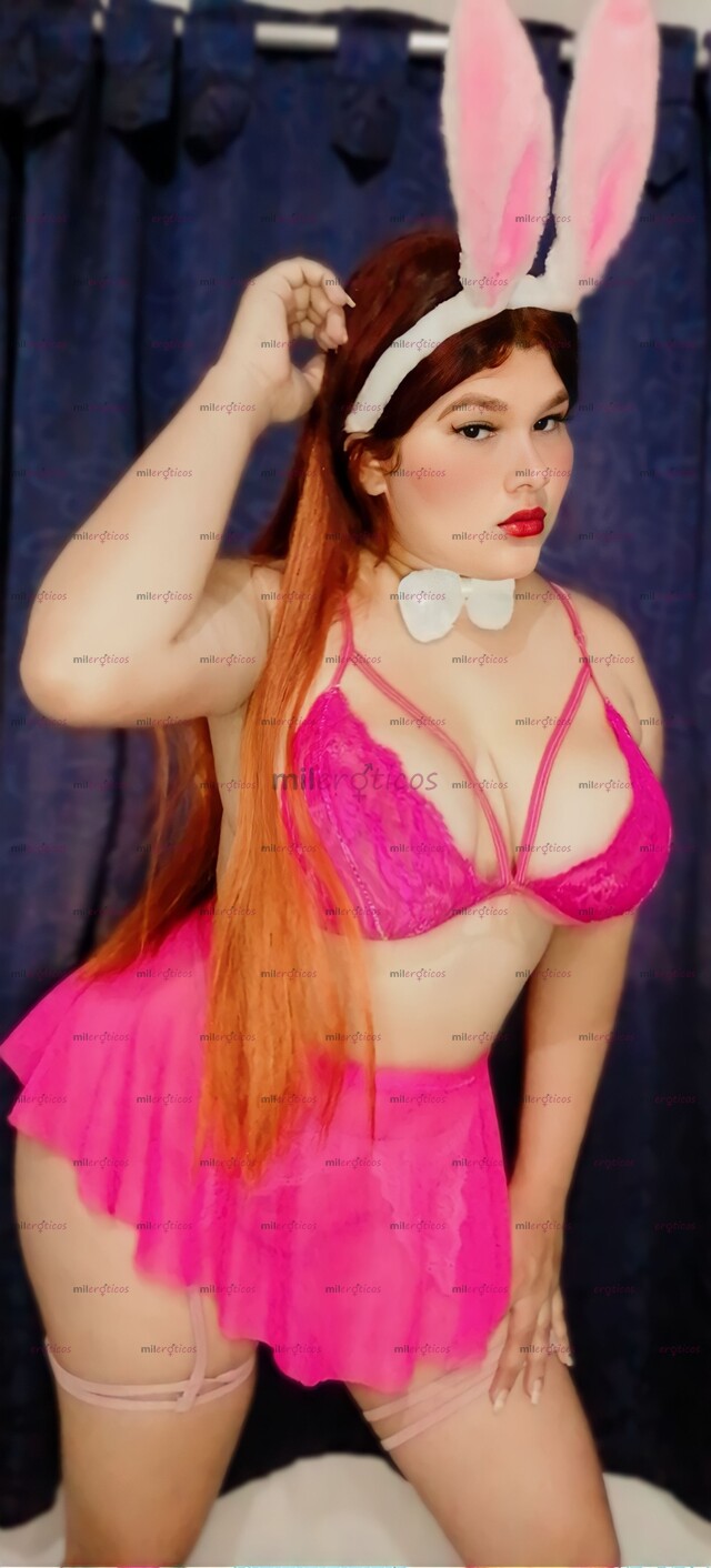 FOTOS DE CONEJITA VIP TERNURITA CON GANAS DE SALTAR ENCIMA DE TY 3046622570