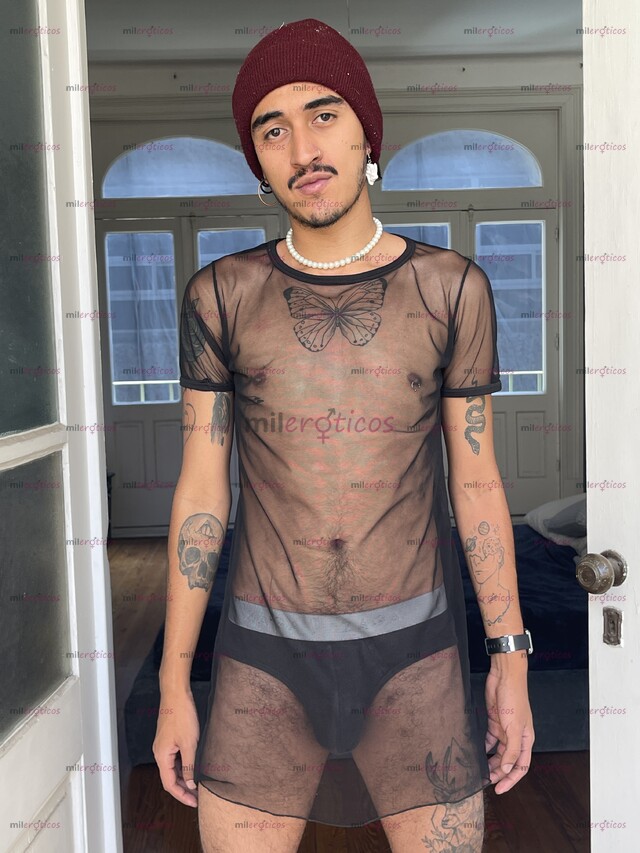 FOTOS DE CHACAL CALIENTE VERGON 19 CM DE PLACER SOLO SOLVENTES