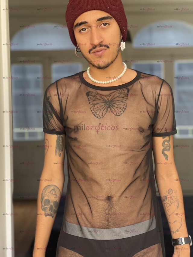 FOTOS DE CHACAL CALIENTE VERGON 19 CM DE PLACER SOLO SOLVENTES