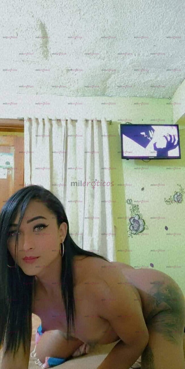 FOTOS DE LA MAS PUTA CON EL CULO Y LA DOTACION NECESARIA PARA SATISFACERTE