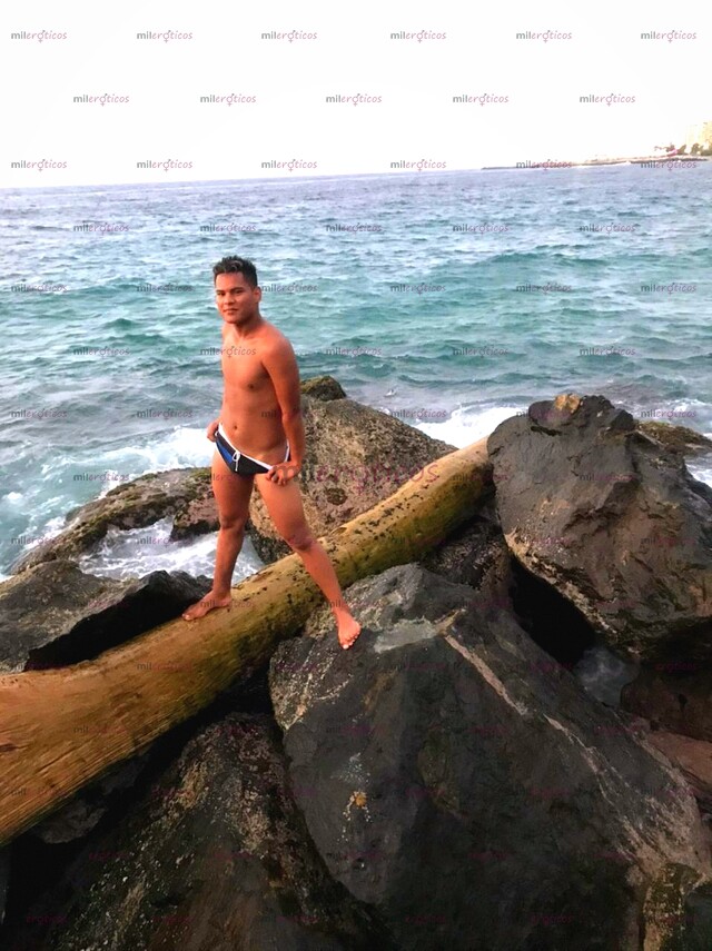 FOTOS DE TRIGUEÑO DE PASO POR LA CIUDAD DE MEDALLO A COMPLACER