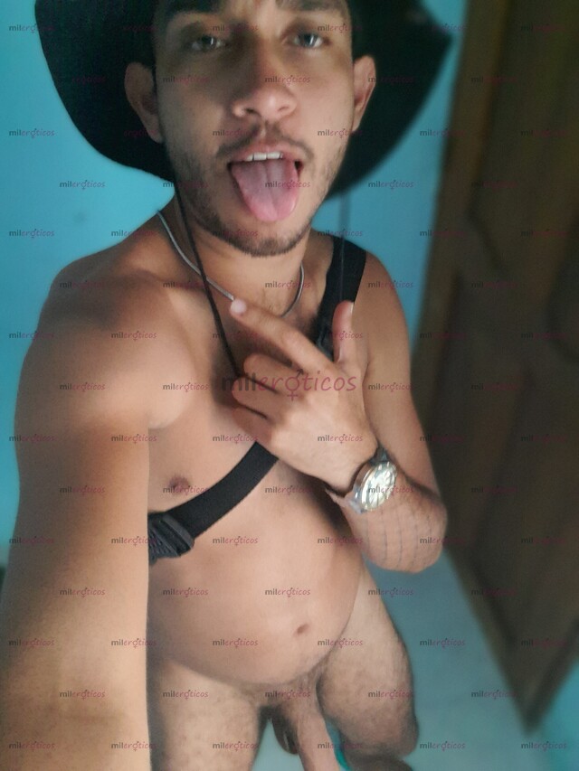 FOTOS DE POLLO VERGON, DOTADO DISPONIBLE 24 HORAS COMPLACIENTE