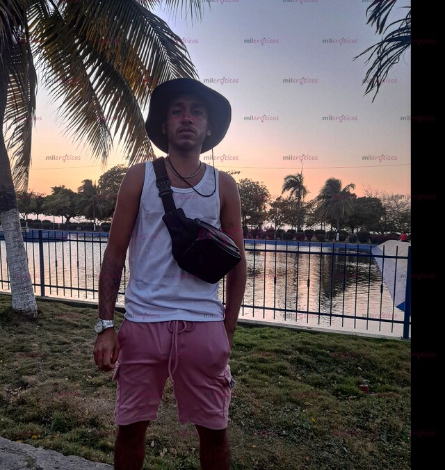 FOTOS DE POLLO VERGON, DOTADO DISPONIBLE 24 HORAS COMPLACIENTE