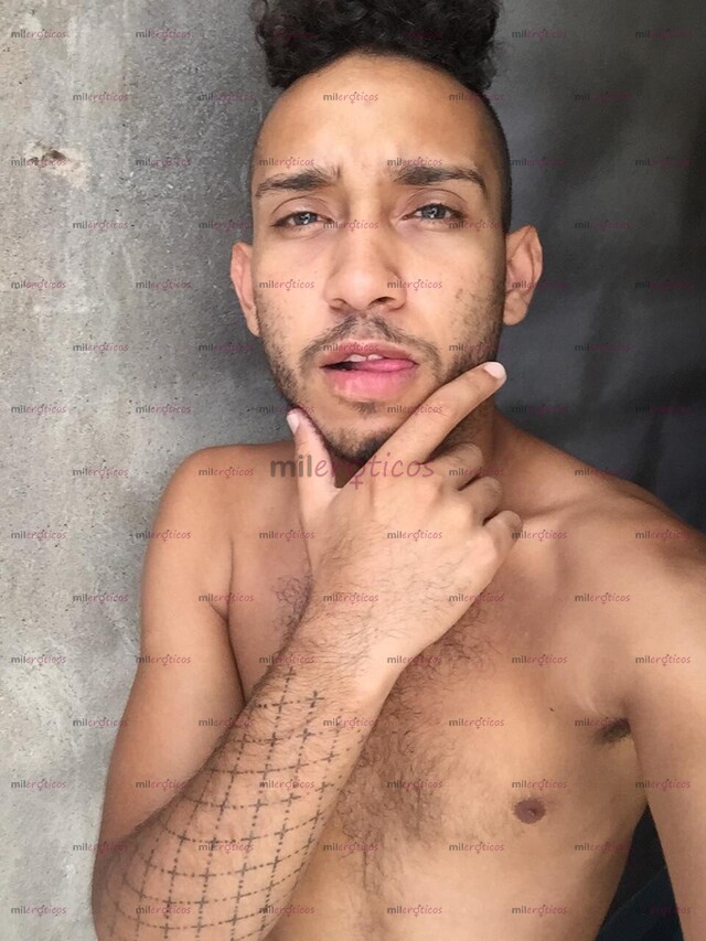 FOTOS DE POLLO VERGON, DOTADO DISPONIBLE 24 HORAS COMPLACIENTE