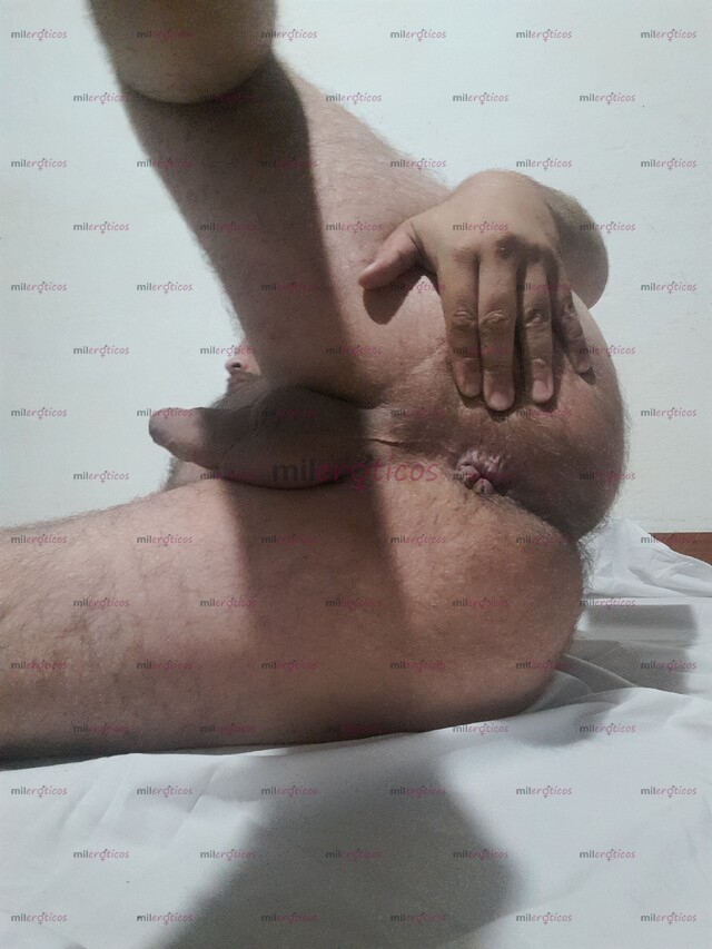 FOTOS DE OSITO VELLUDITO ARRECHO, FULL COMPLACIENTE