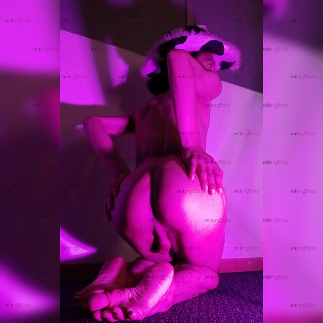 FOTOS DE FEMBOY TRANS FULL PASIVA, VERSÁTIL, VERGONA, LECHERA, TRAGONA FEMENINA, MORBOSA