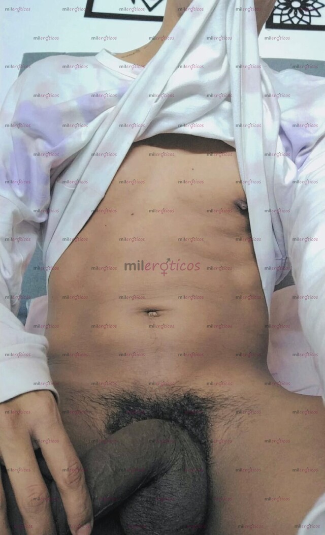 FOTOS DE MORENO DOTADO, COMPLACIENTE AL 100%, UBICADO EN MEDELLIN CO