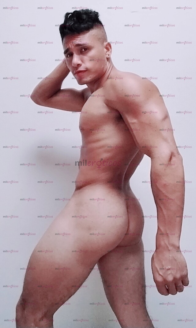 FOTOS DE VERGON PINTA SERIO VERSATIL DISPONIBLE EN MEDELLÍN 3114155107