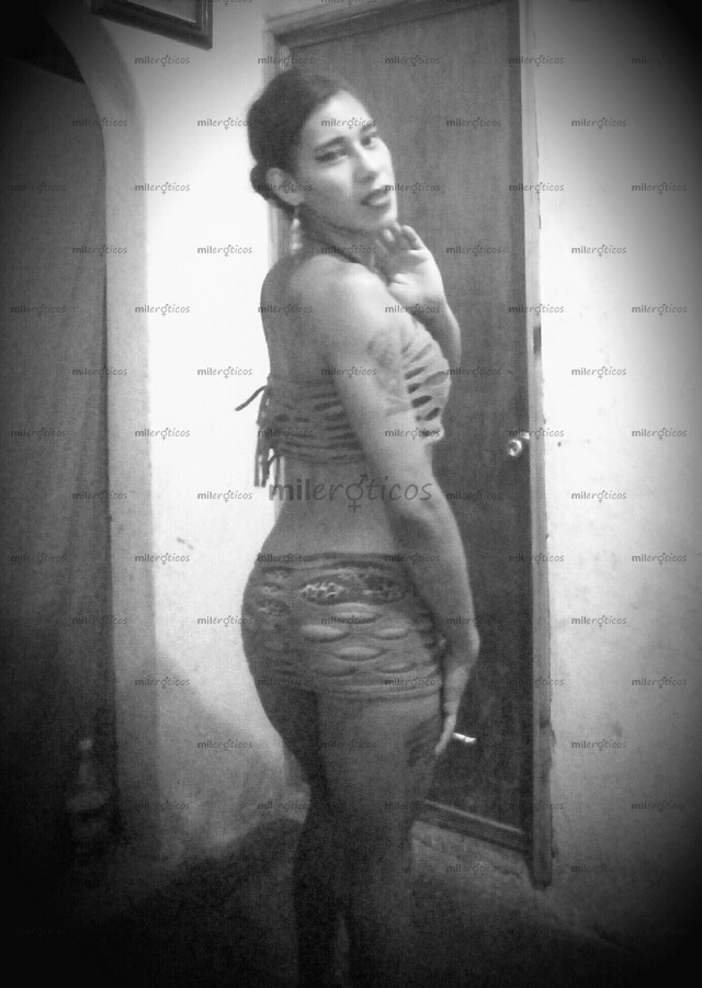 FOTOS DE CHIKA TRANS ATRACTIVA ACTIVA O PASIVA CUENTO CON LUGAR