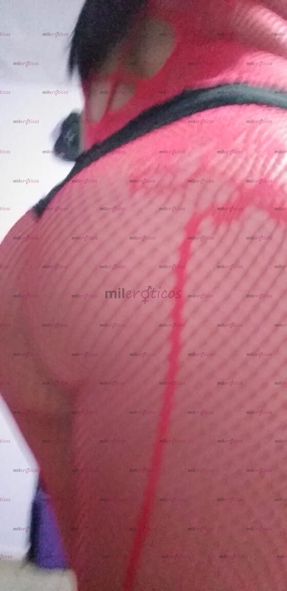 FOTOS DE ARIADNE 69 TRANS DISPONIBLE X ZONA NORTE CON LUGAR DISCRETO