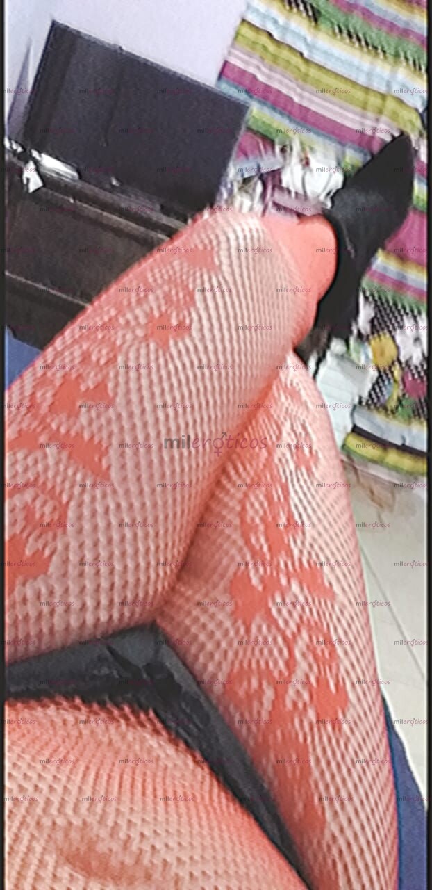 FOTOS DE ARIADNE 69 TRANS DISPONIBLE X ZONA NORTE CON LUGAR DISCRETO