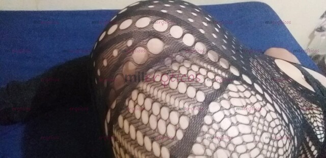 FOTOS DE NENA TRANS DISPONIBLE 8331878087 ZONA NORTE