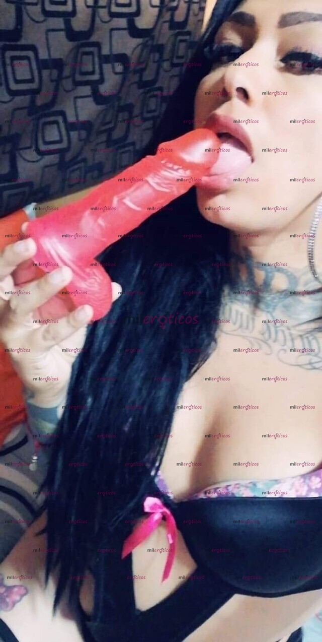 FOTOS DE PROMOCION DE FIN DE SEMANA TRANS INTERACTIVA DISPONIBLE 24 HRS 8135964763