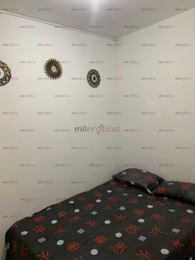 FOTOS DE APARTAMENTO EN IBAGUE TOLIMA AMOBLADOS PARA CHICAS ESCORT