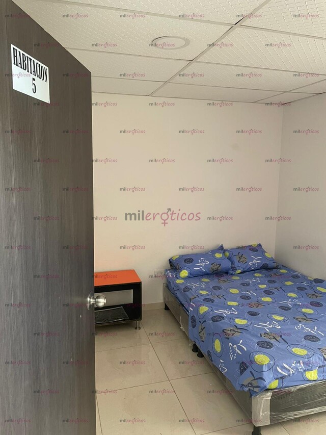 FOTOS DE APARTAMENTO EN IBAGUE TOLIMA AMOBLADOS PARA CHICAS ESCORT