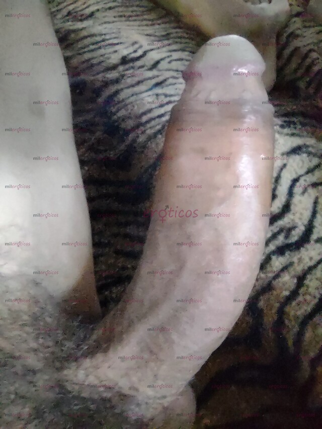 FOTOS DE EL ENCANTADOR DE CULOS ,CHACALON CALIENTE Y RENDIDOR