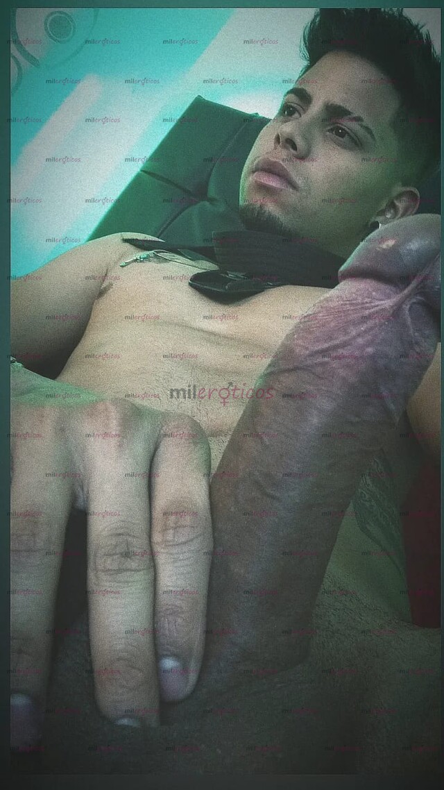 FOTOS DE POLLO NUEVO EN TU CIUDAD VERGON 20 CM FULL COMPLACIENTE