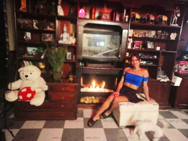 FOTOS DE CATALELLA DISPONIBLE EN EL BARRIO LA FERIA AL LADO HOTEL MANANTIAL