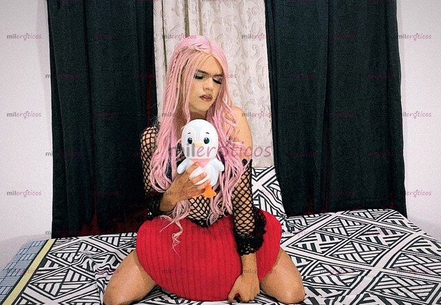 FOTOS DE TRANS NUEVA EN PEREIRA CONTENIDO HOT Y ENCUNETROS