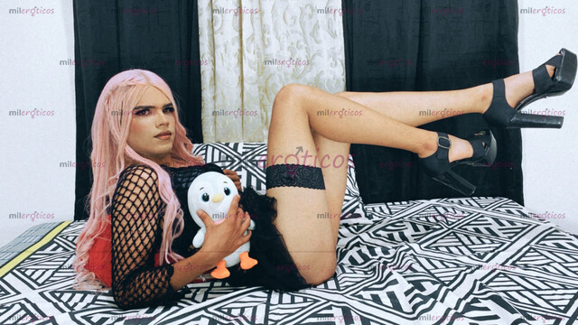 FOTOS DE TRANS NUEVA EN PEREIRA CONTENIDO HOT Y ENCUNETROS