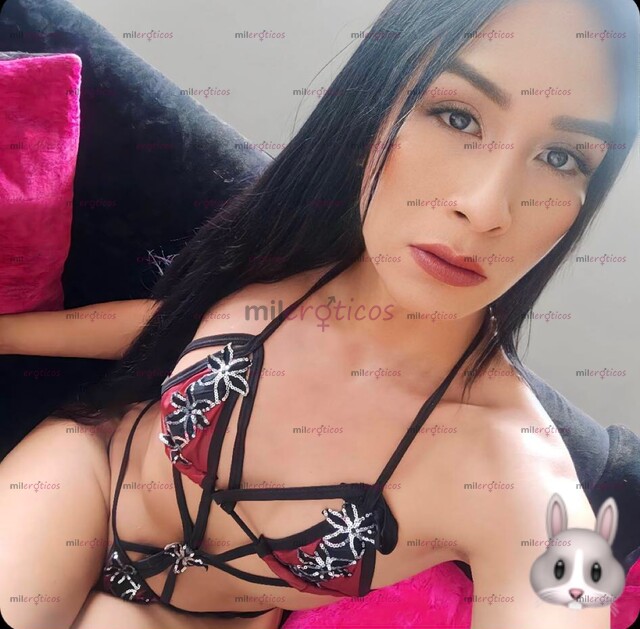 FOTOS DE HERMOSA CHICA TRANS EN CUCUTASOLO WHATSAPP 3222793751