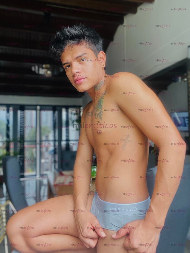 FOTOS DE UNIVERSITARIO POLLO VERGON VERSATIL LECHERO